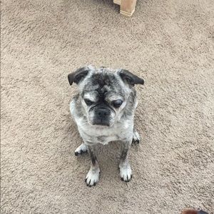 Meet your Posher, Agatha